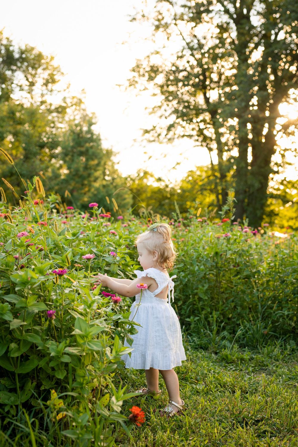 Family Photographer in Wisconsin, studio in Watertown WI serving Dodge County Jefferson County and Waukesha County