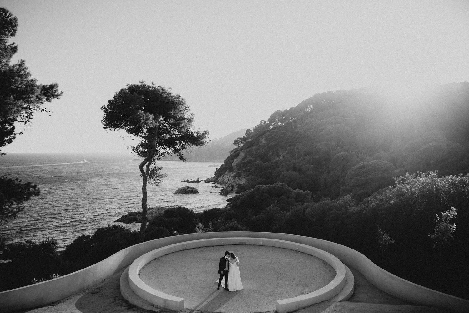A series of black and white coastal landscape photographs showing misty cliffs and a lone tree by the ocean.