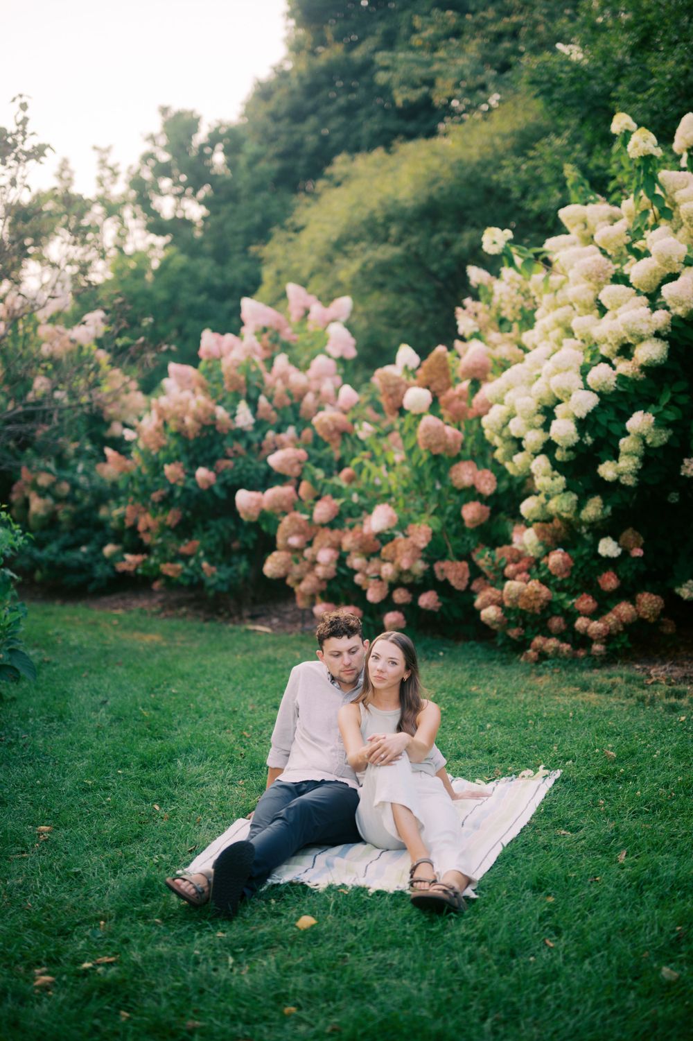 A couple relaxes on a blanket surrounded by blooming hydrangea bushes in a garden setting.