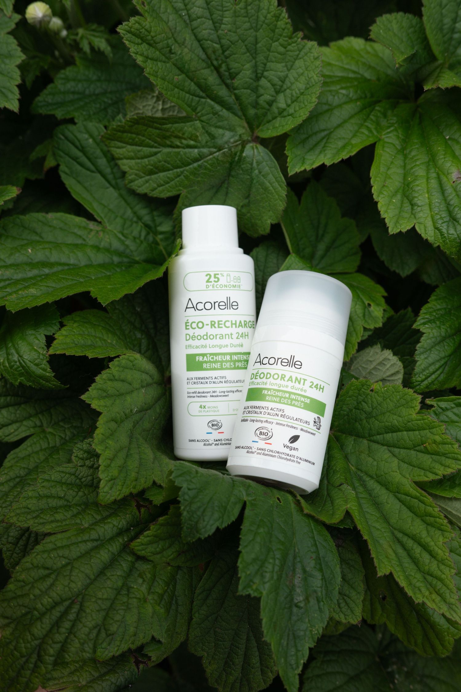 Two white Acorelle eco-friendly beauty products displayed on green leaves.