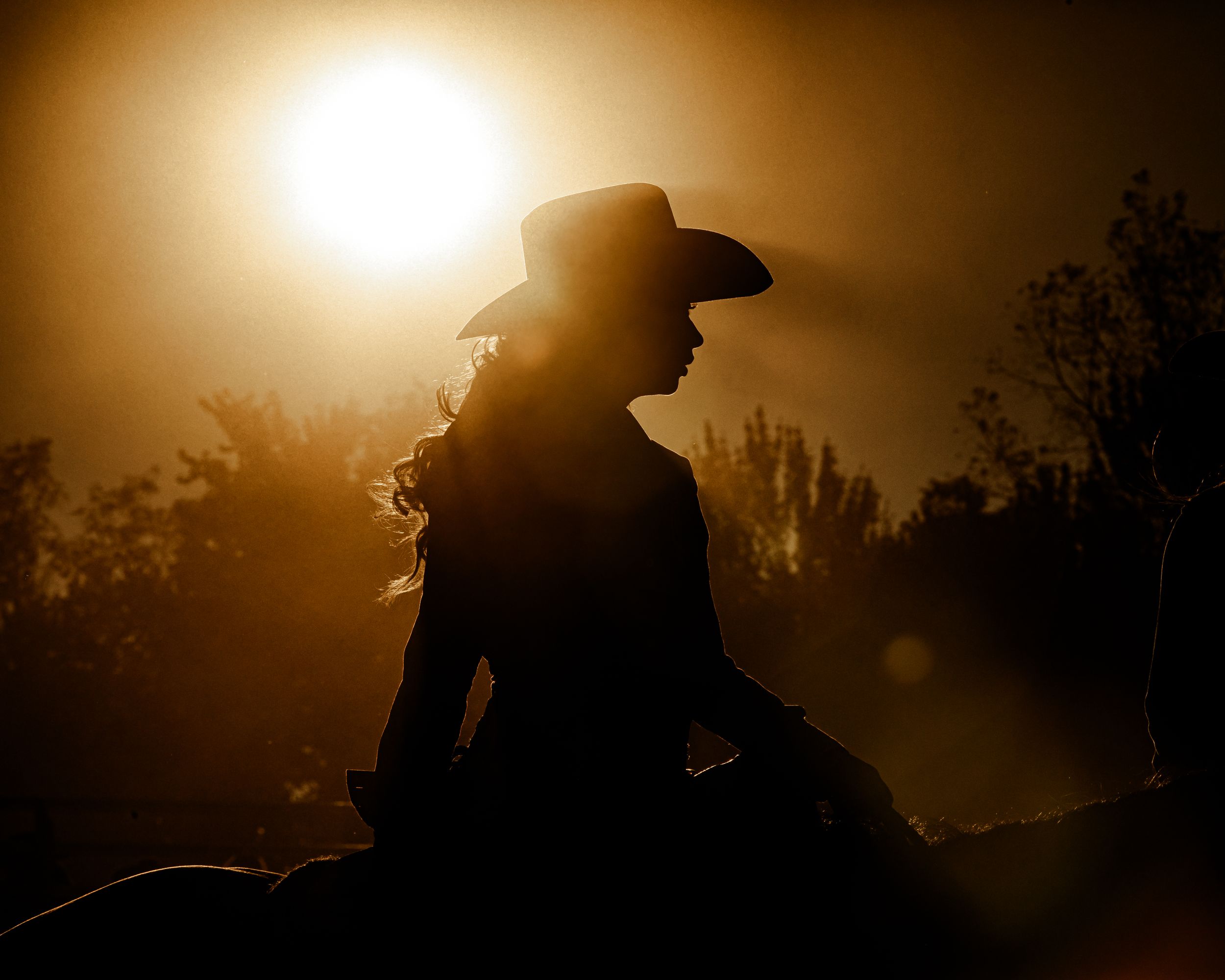 Silhouette of a lone rider on horseback against a dramatic sunset sky.