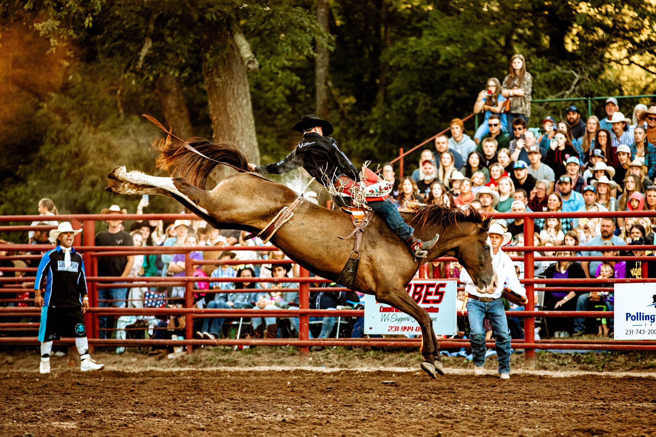 Rodeo rider attempts to stay mounted on a bucking bronco during an action-packed competition at a western arena.