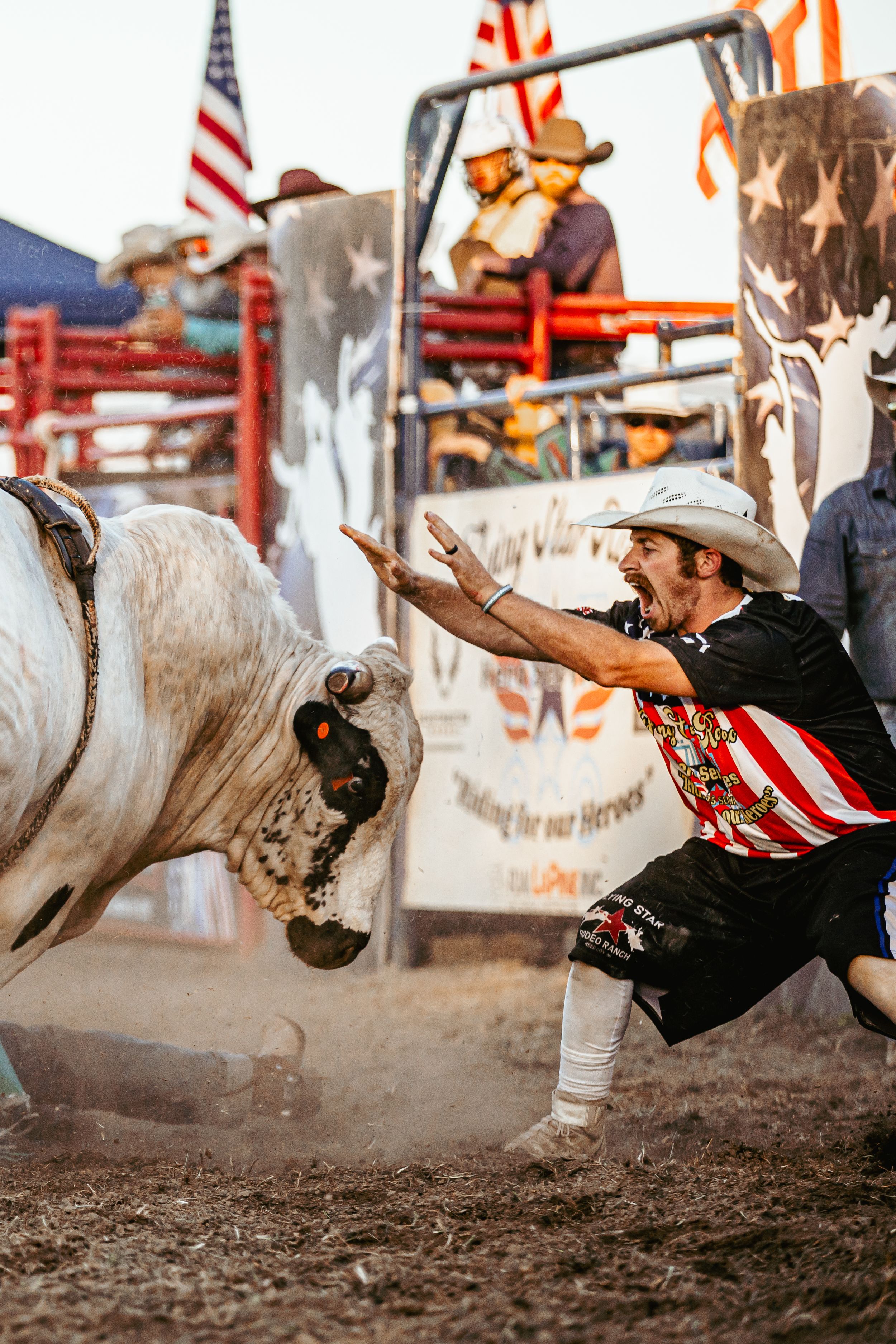 Action sequence shows a rodeo rider being thrown from a bucking white horse in a dirt arena.