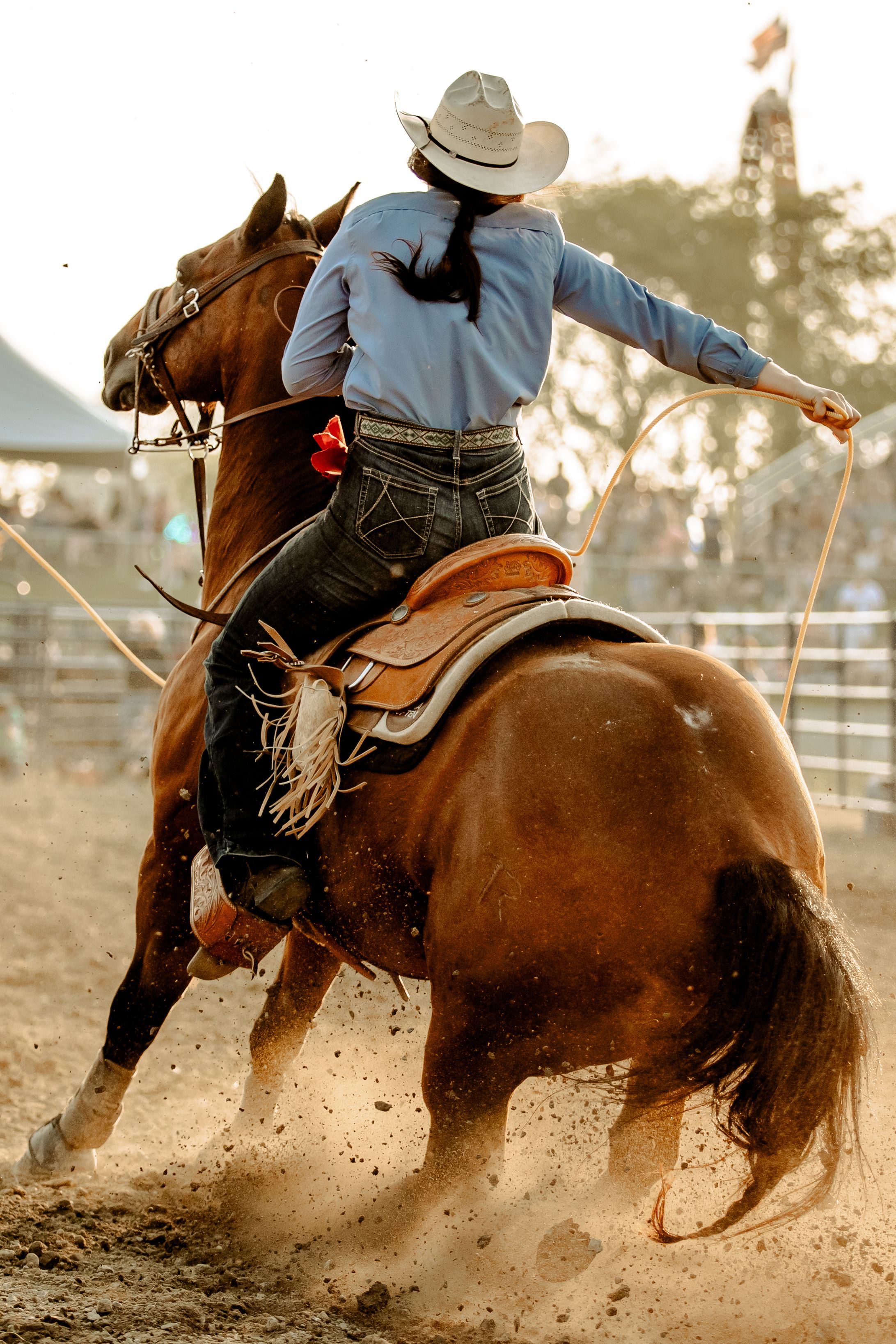 Sequence showing a horse and rider kicking up dust during an intense rodeo performance.