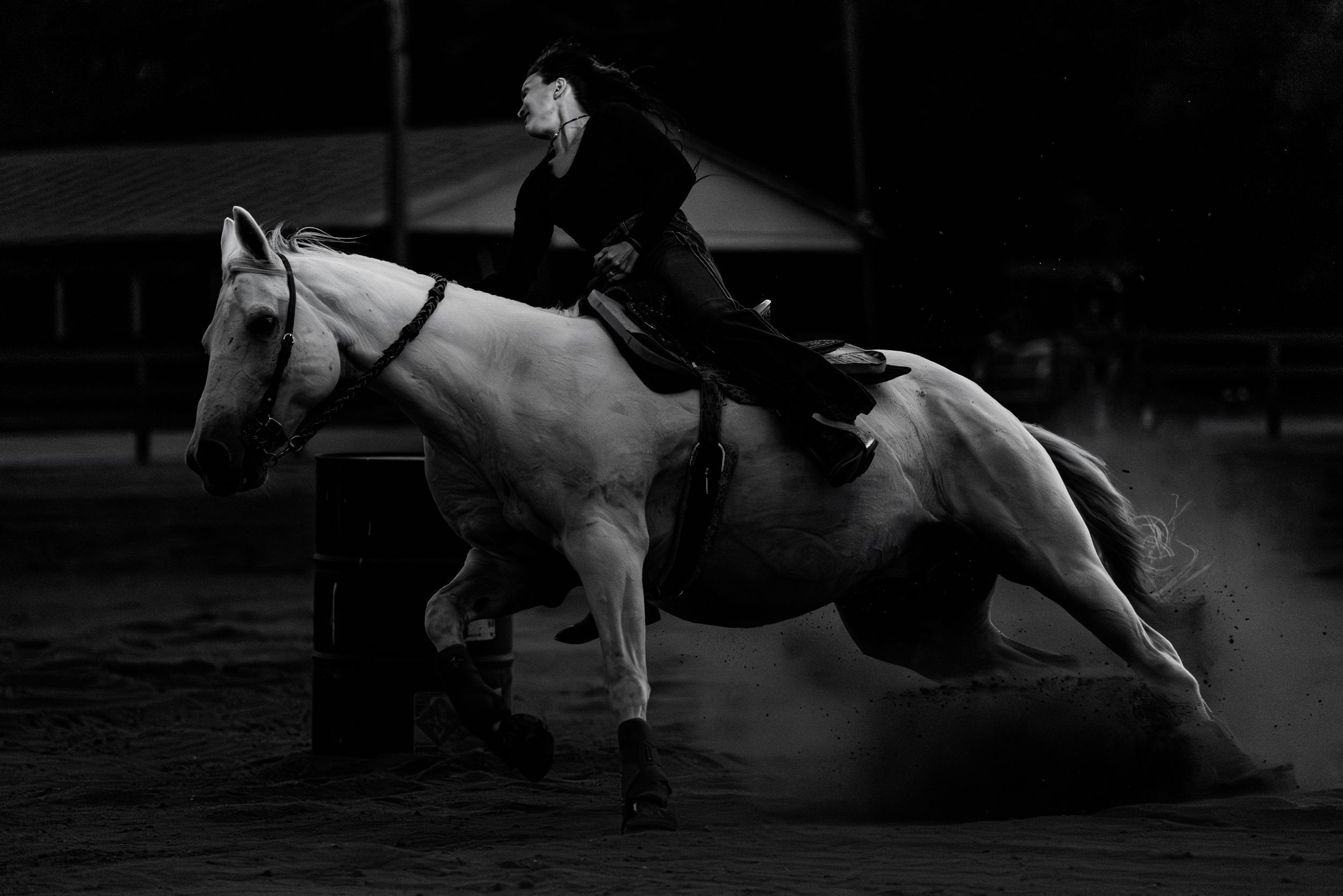 A white and black dog performs an impressive agility jump over a high bar during a competition.