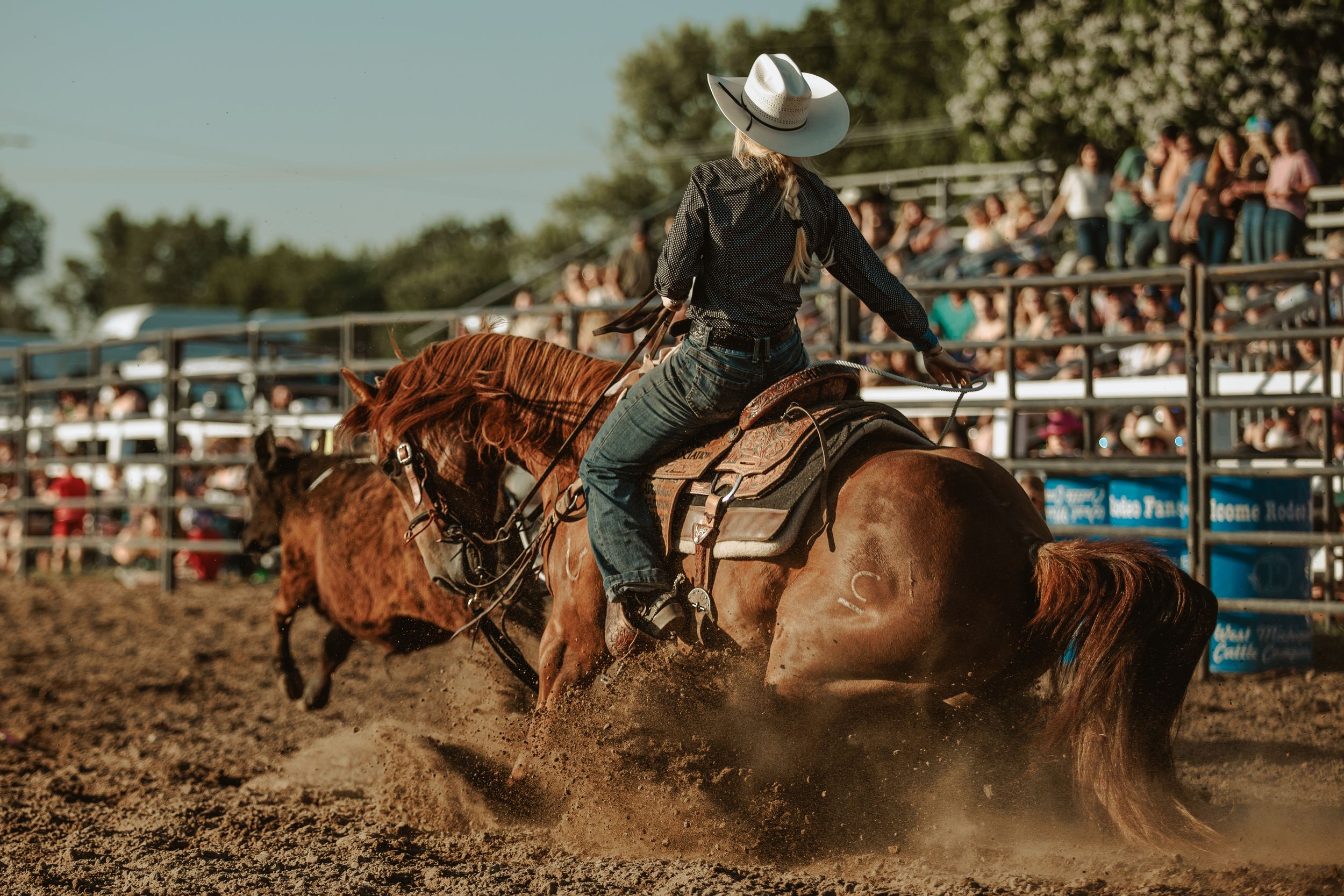 Rodeo rider on bucking bronco kicks up dust in arena with spectators watching from stands during competition.