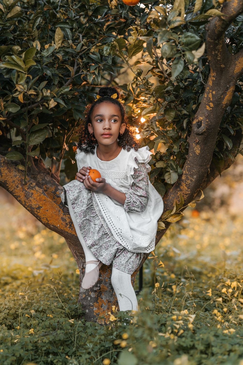 A child in a white dress sits among tree branches during golden hour as sunlight filters through the leaves.
