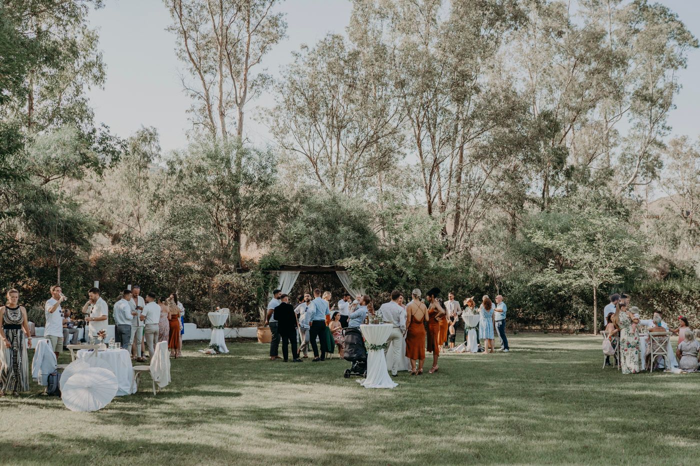 Wedding guests gather on a lush green lawn surrounded by tall eucalyptus trees during an outdoor reception celebration.