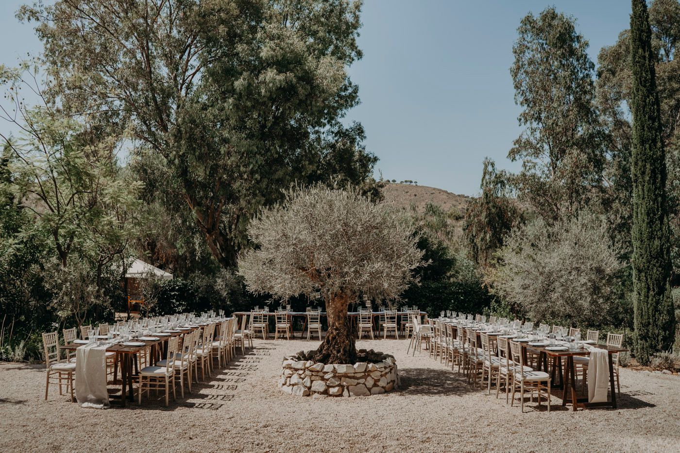 Outdoor rustic wedding ceremony setup with wooden chairs arranged in rows around a central tree in a Mediterranean garden setting.