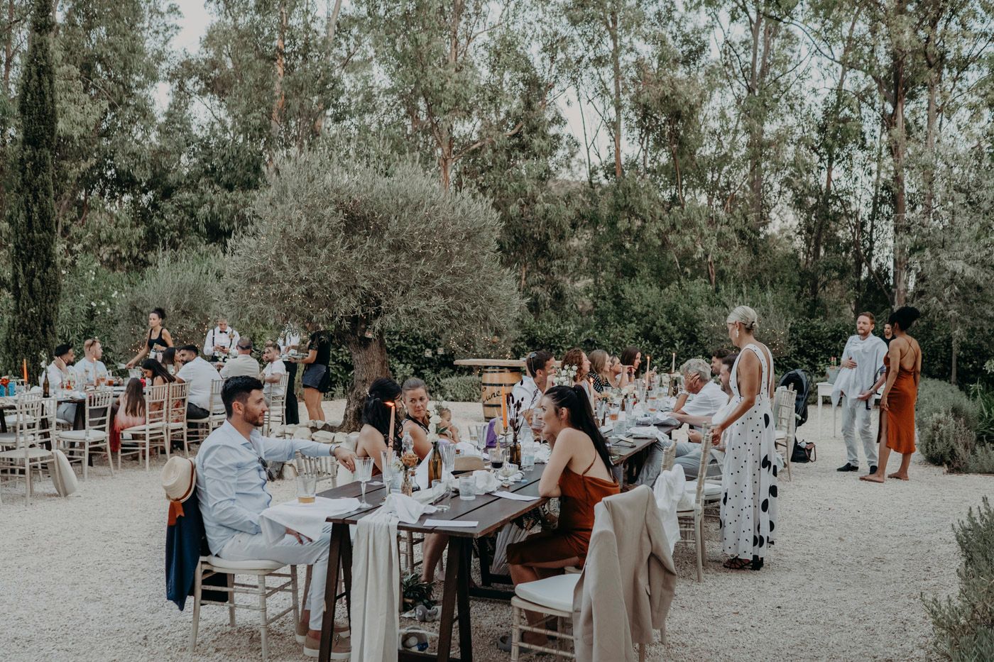 Guests enjoying an elegant outdoor wedding reception with long tables among trees in a rustic garden setting.