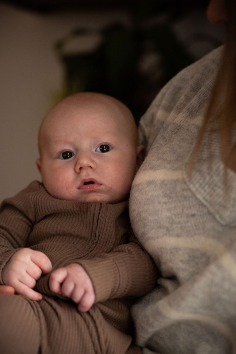 Baby in brown knit sweater gazes upward while lying against plush cushions.