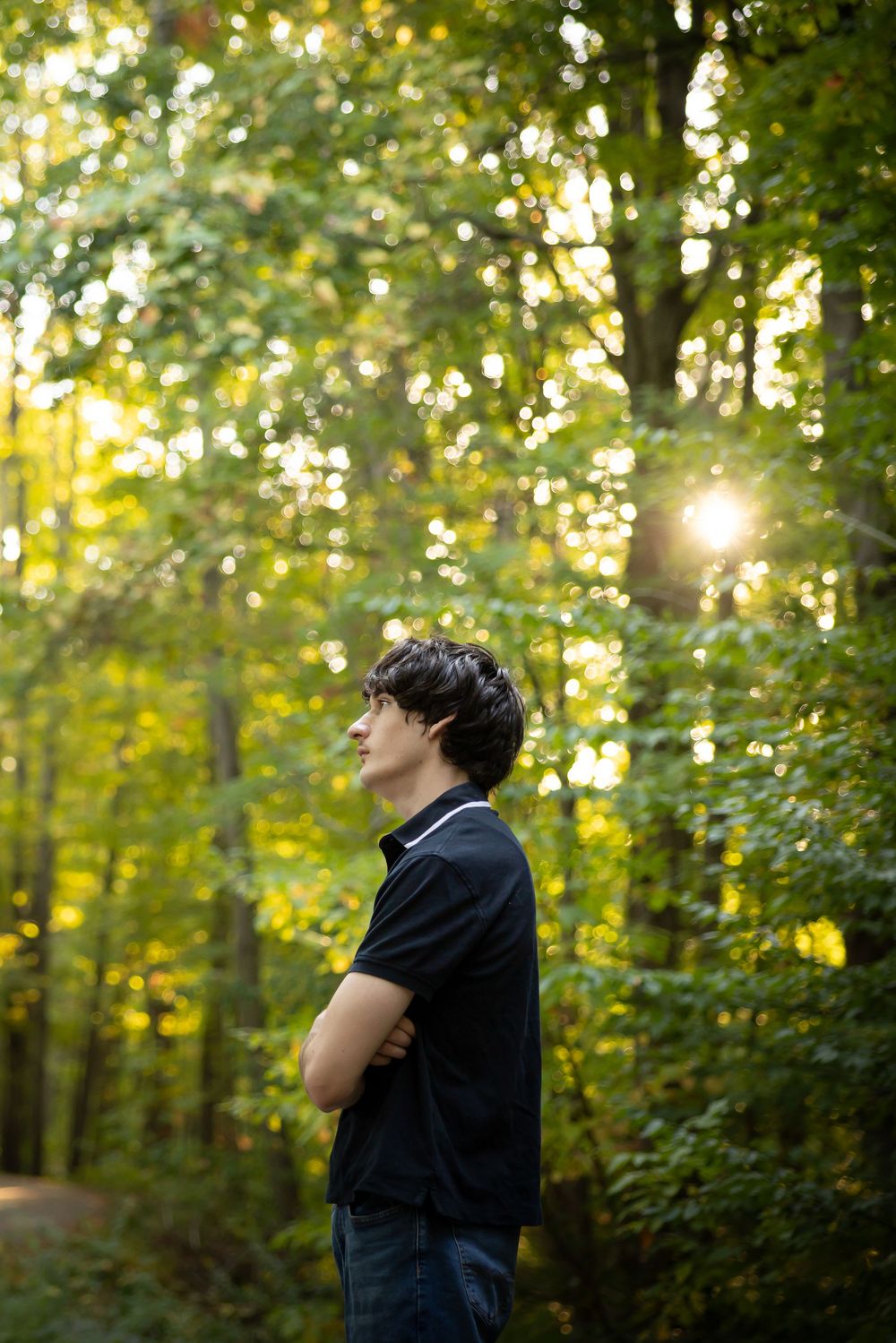 A silhouetted figure stands in a sunlit forest with crossed arms gazing upward through green foliage.