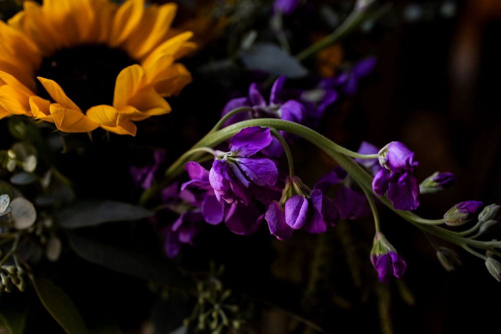 moody wedding photographer