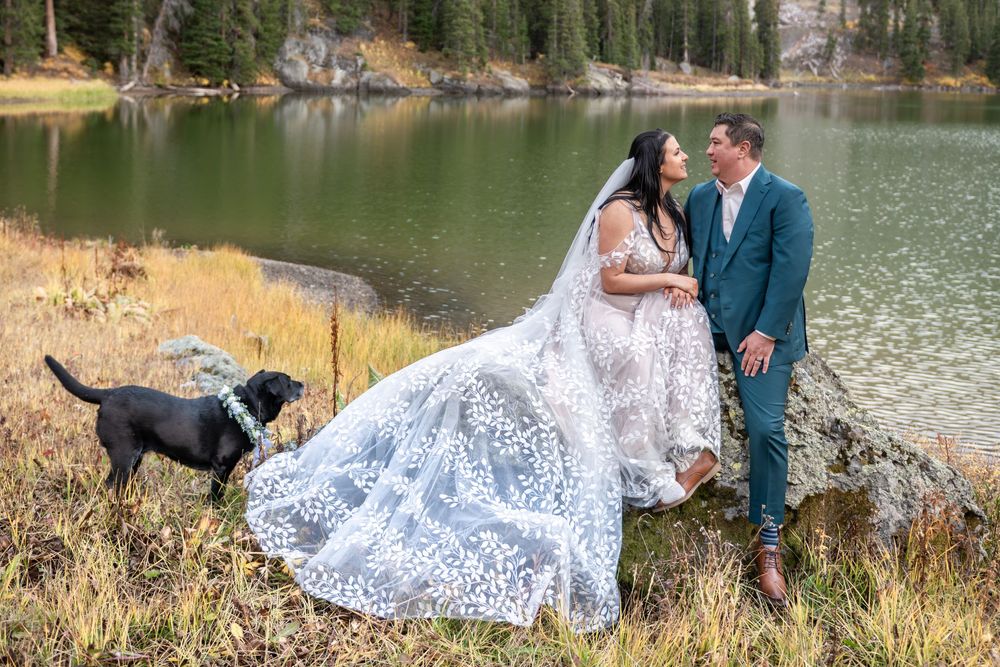 A bride and groom and sitting in an embrace on a rock in a mountain meadow with an alpine lake behind them. Their dog stands by their side.