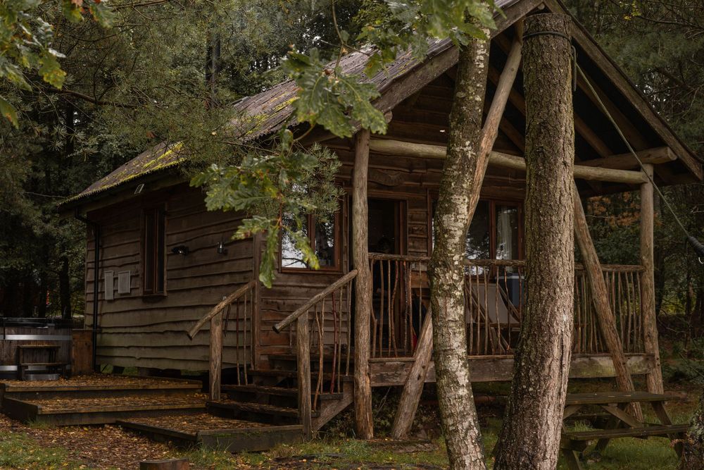 Rustic log cabins nestled among tall pine trees at a secluded wilderness retreat.