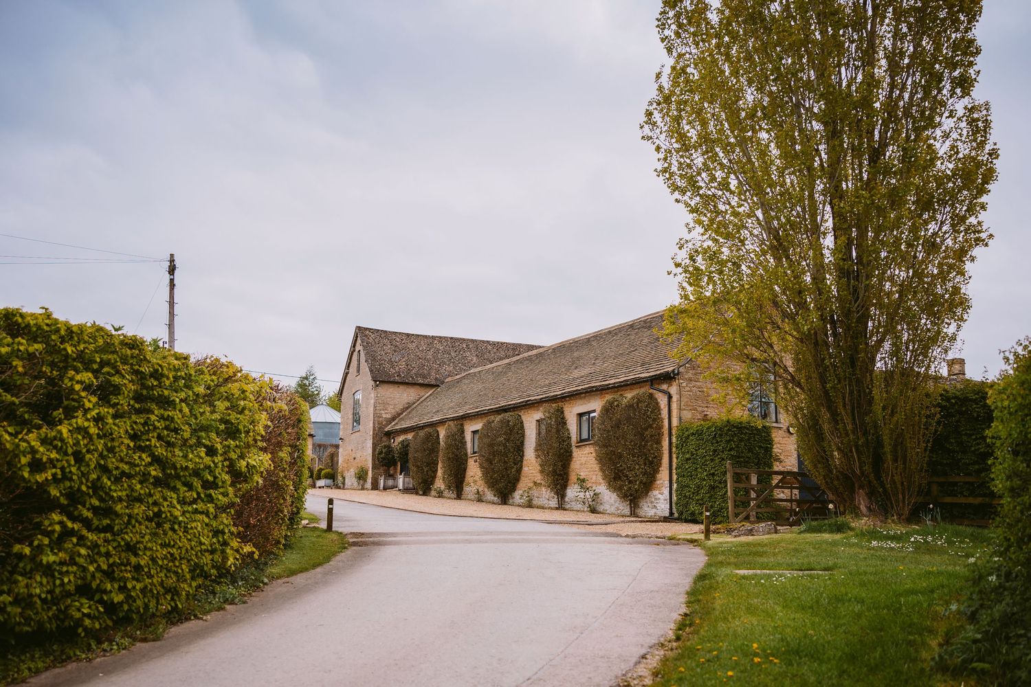 A winding rural road lined with tall trees leads to a stone building on a hill in the countryside.