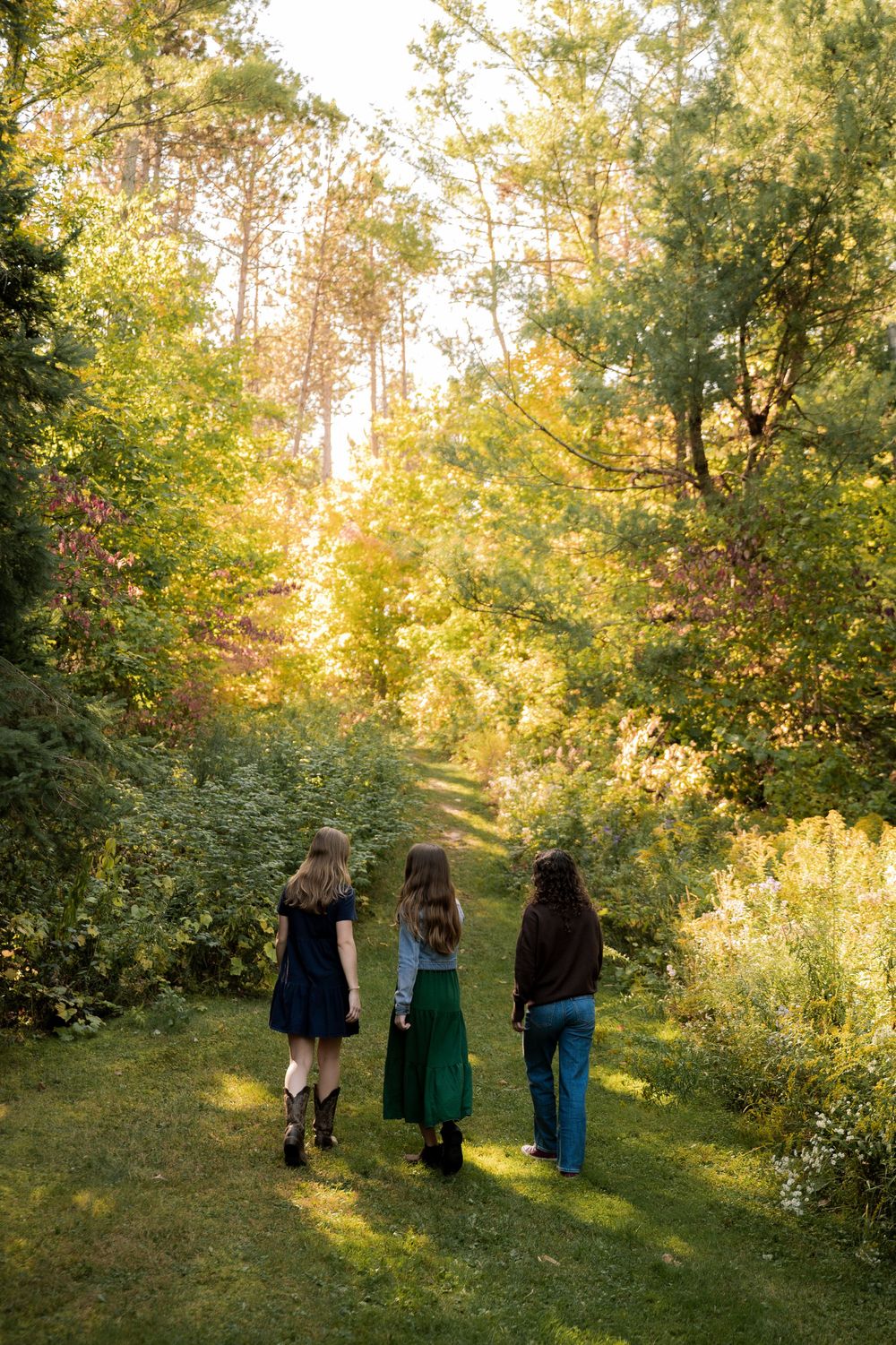 Three figures walk together on a sunlit forest path surrounded by lush green foliage and golden afternoon light.