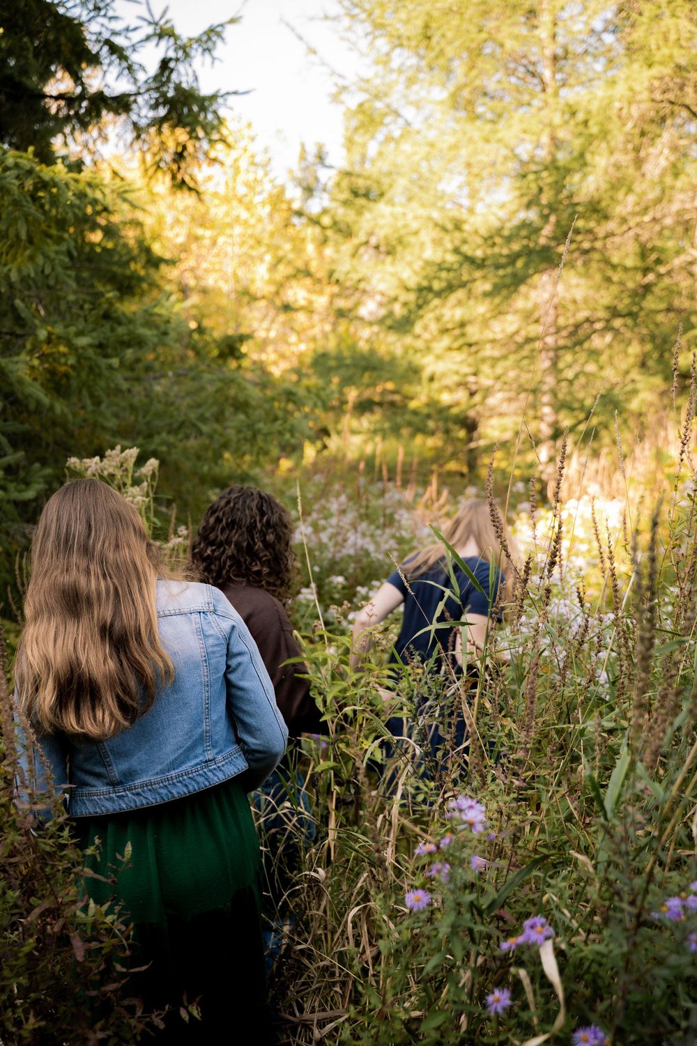 Three people sitting among wildflowers in a meadow during sunset with evergreen trees in background.