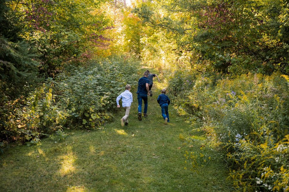 People walking through a sunlit autumn forest path with golden foliage and dappled sunlight filtering through trees.