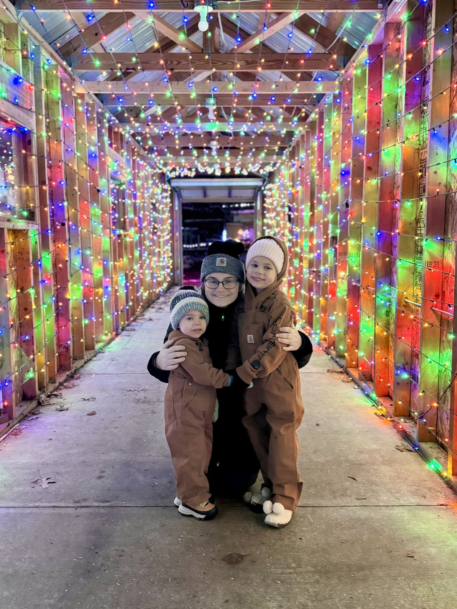 Springfield, IL Photographer shares her past year