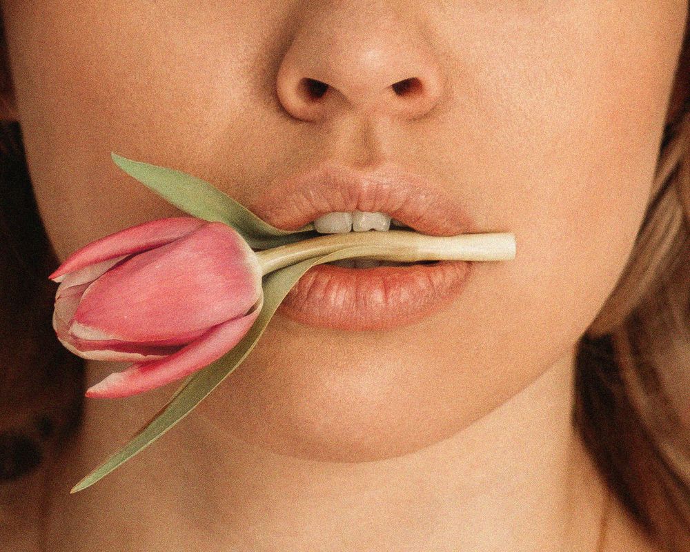 A close-up sensual shot showing pink flower petals delicately placed between lips in an artistic composition during boudoir shoot.