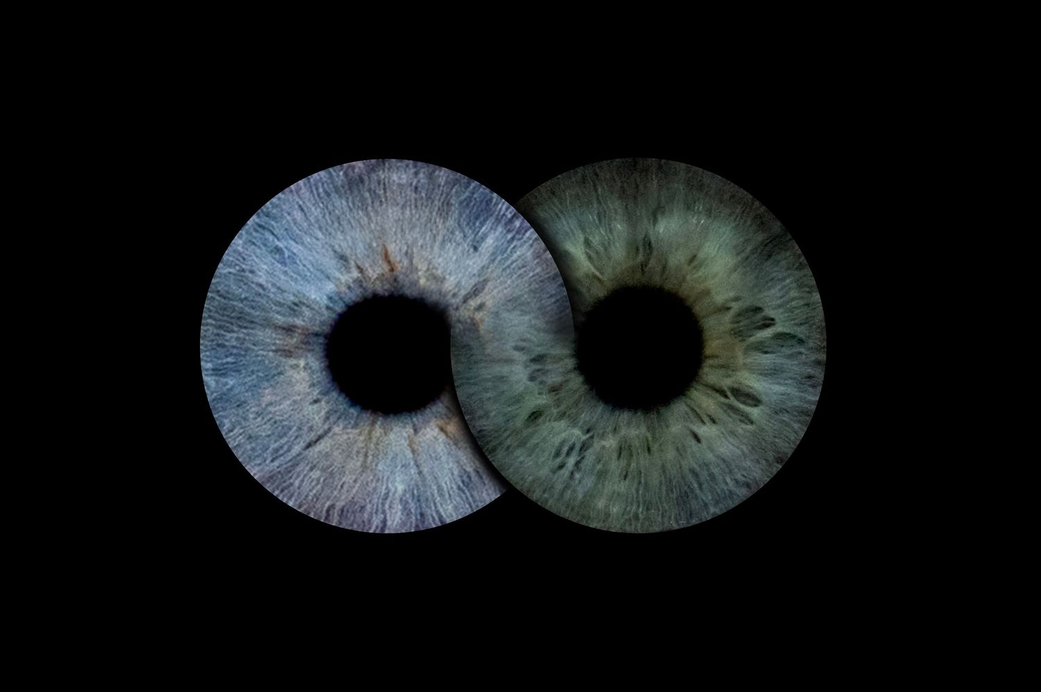 A series of detailed macro photographs showing blue and green human irises with intricate patterns and textures.