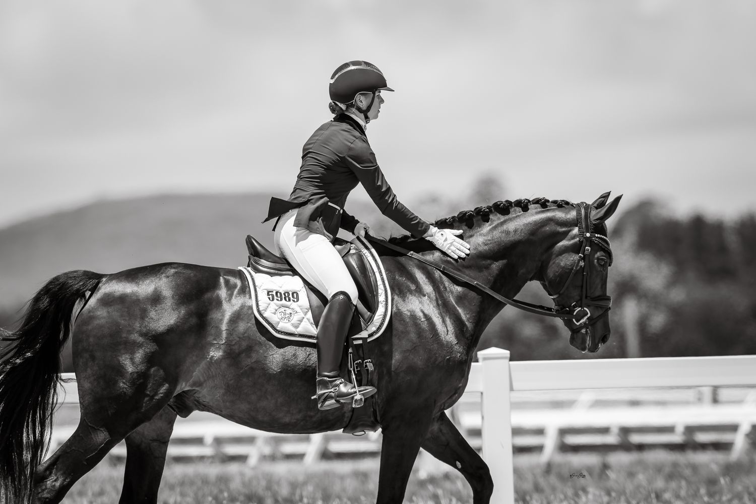 Monochrome image of dressage rider Jasmine Kolster and her gelding Sandro's Gift at Bowral Dressage Club. © Simon Scully 2025.