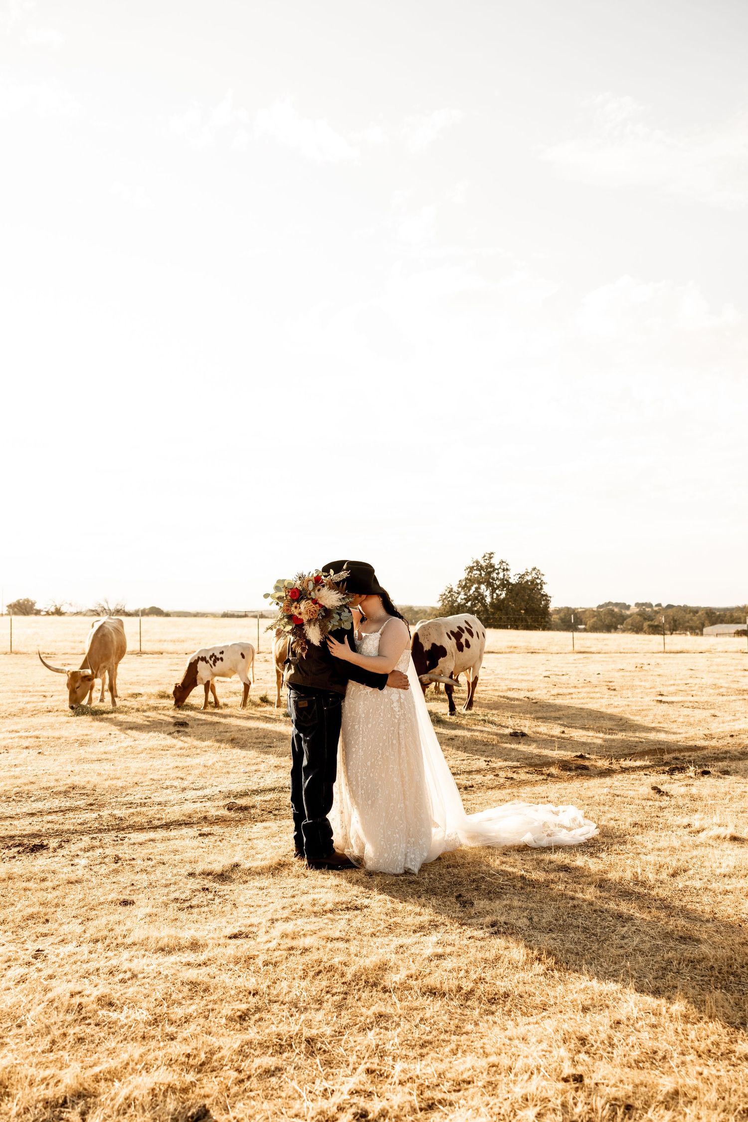 a wedding at the bluff private event venue in red bluff, California. Rustic, western, country, long horn cows at sunset with bridal photos.