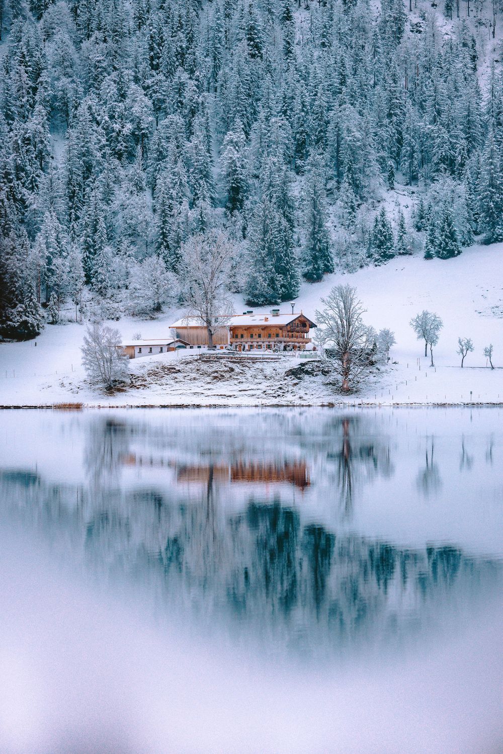 Serene winter lake reflecting snow-covered pine trees and a wooden lodge on the shore.