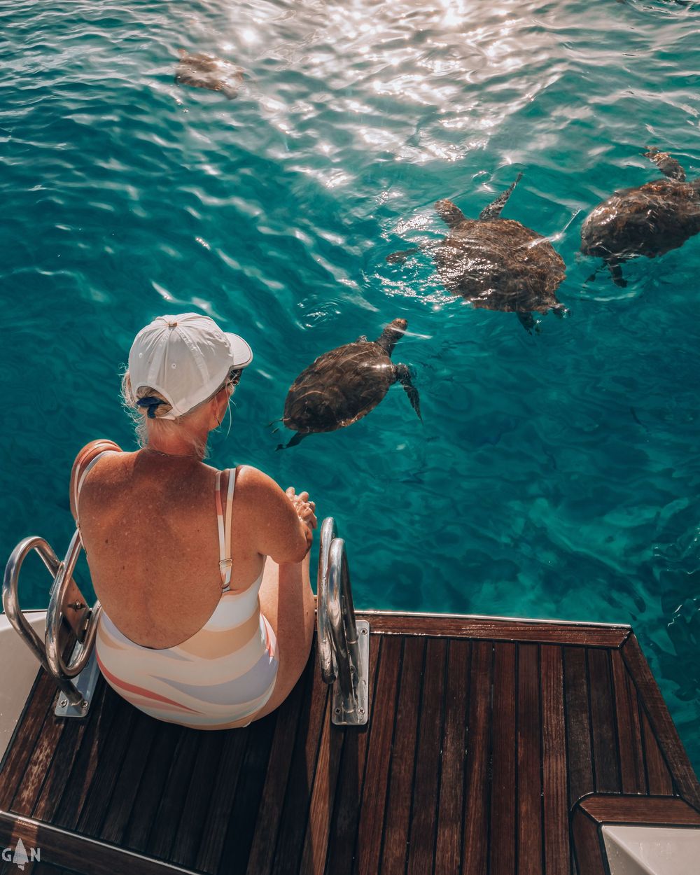 People sitting on wooden deck watching sea turtles swim in crystal clear waters.