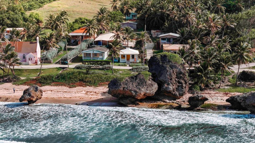Panoramic coastal view of a tropical beach with cliffs and palm trees.