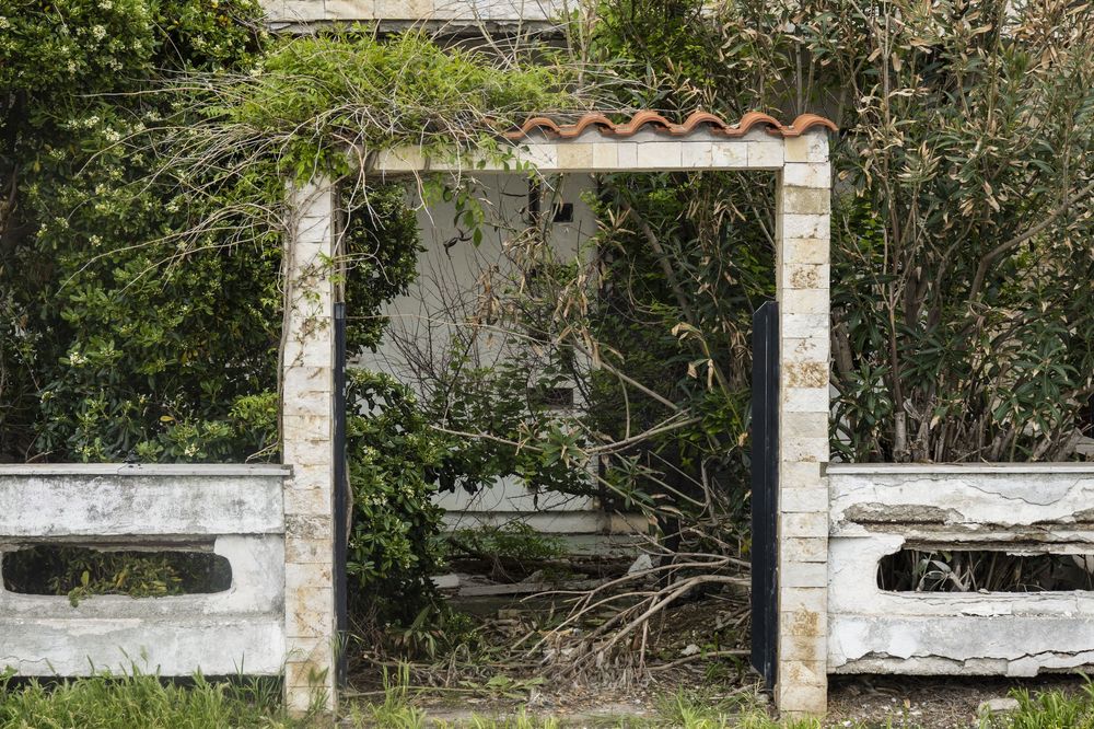 White concrete garden gate entrance with overgrown plants and vines creating a natural archway.