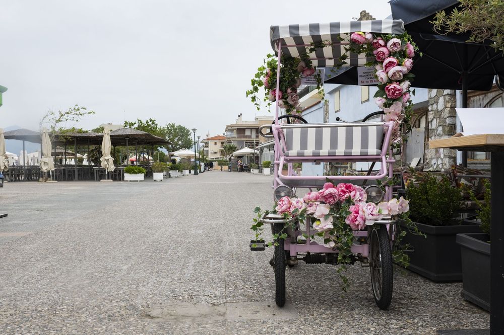 A scenic coastal street lined with blooming cherry blossom trees and traditional buildings in springtime.