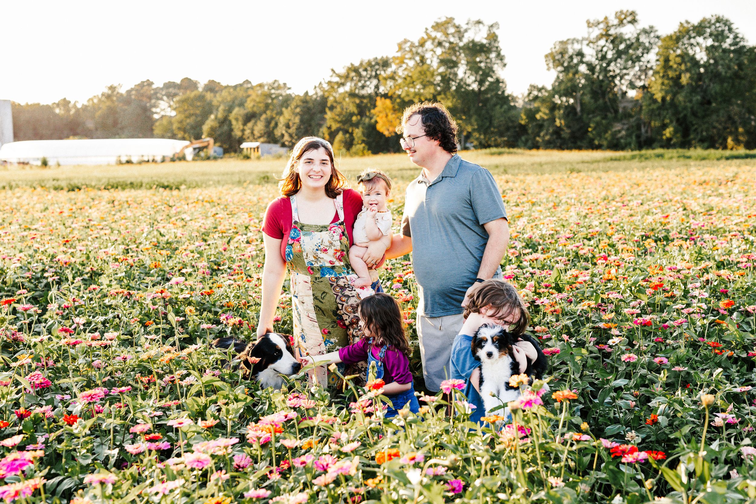 People walking through a colorful flower field at sunset.