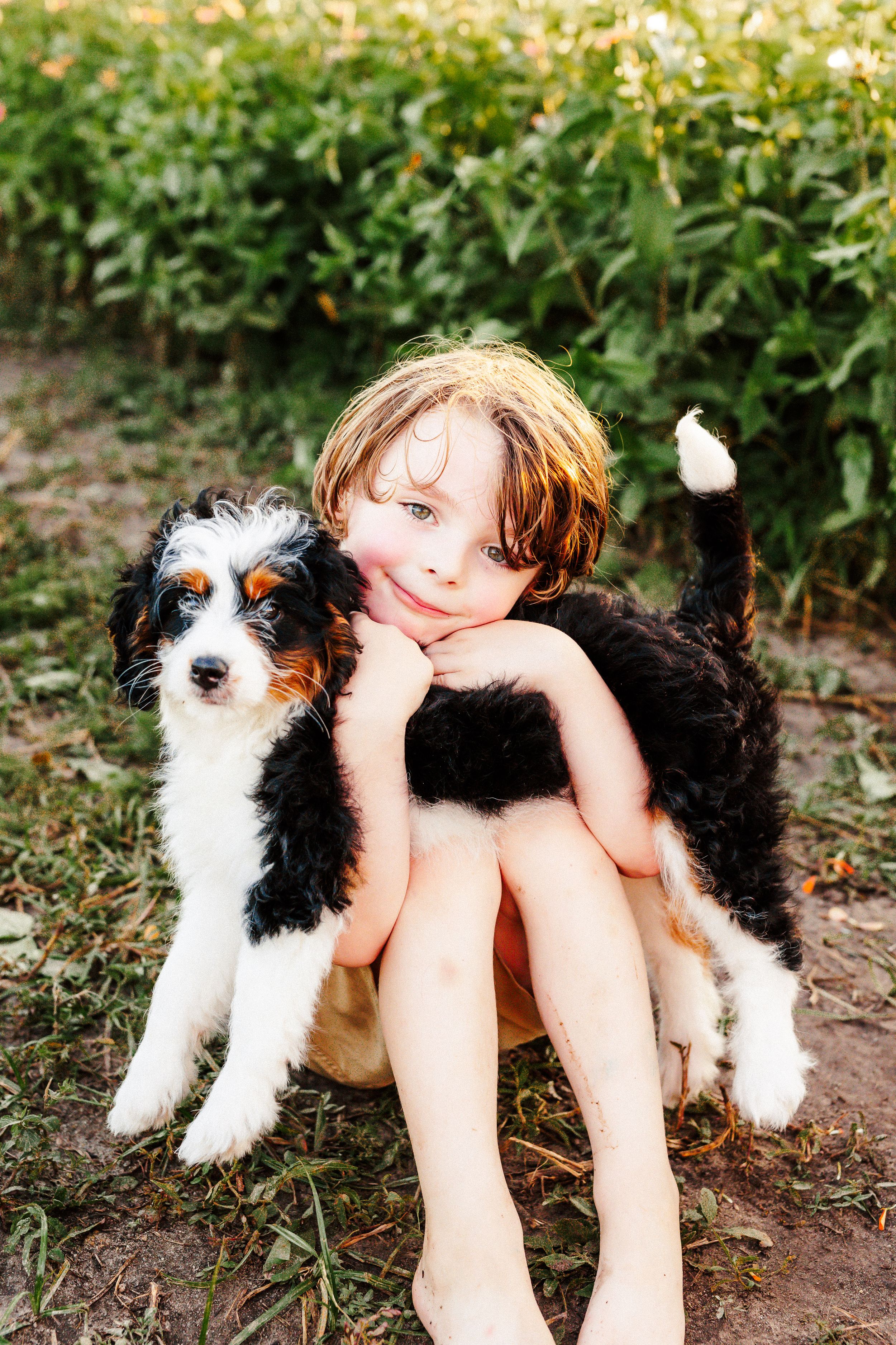 A black and white dog sits next to someone in a sunny flower field.