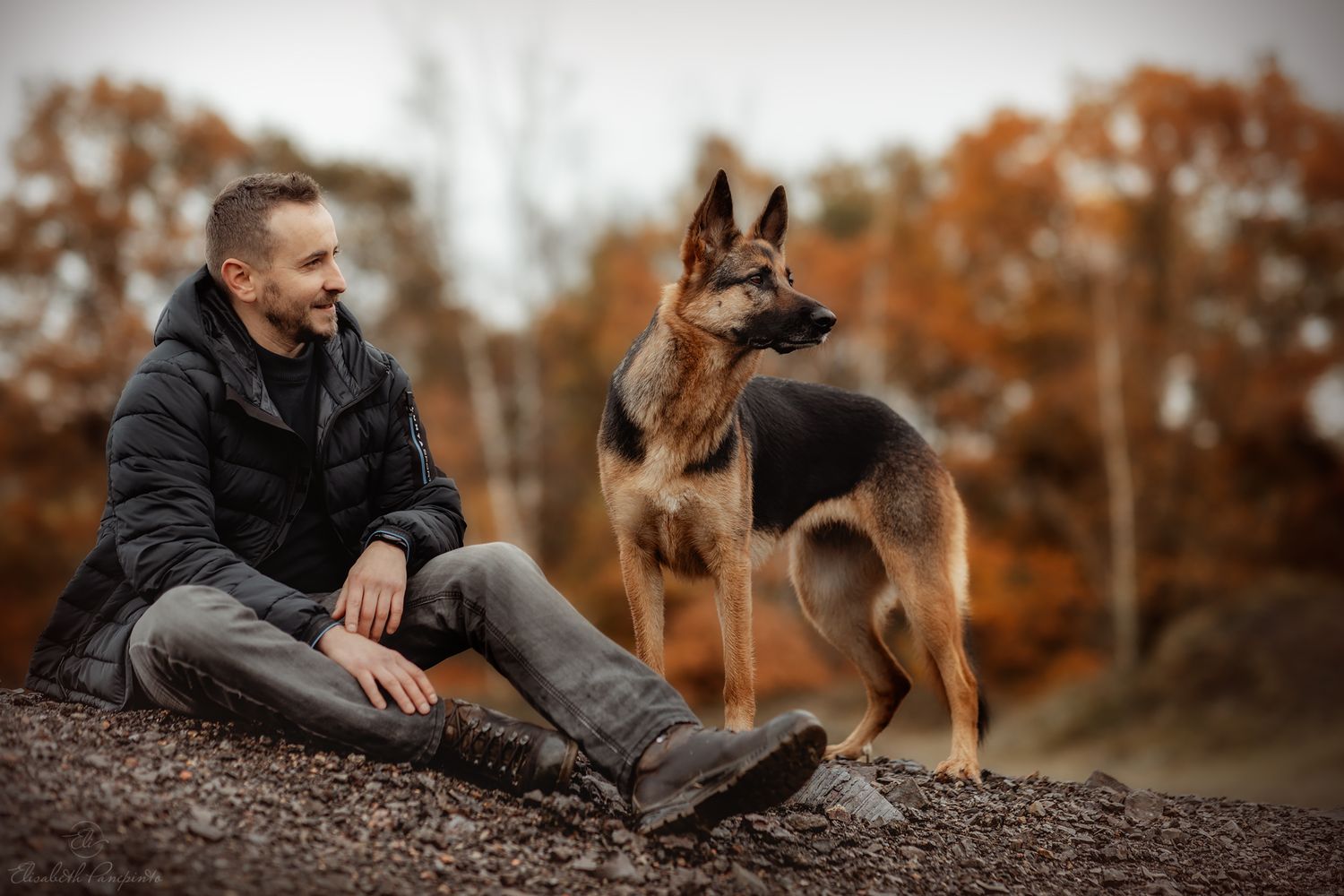 Photographe canin Belgique
