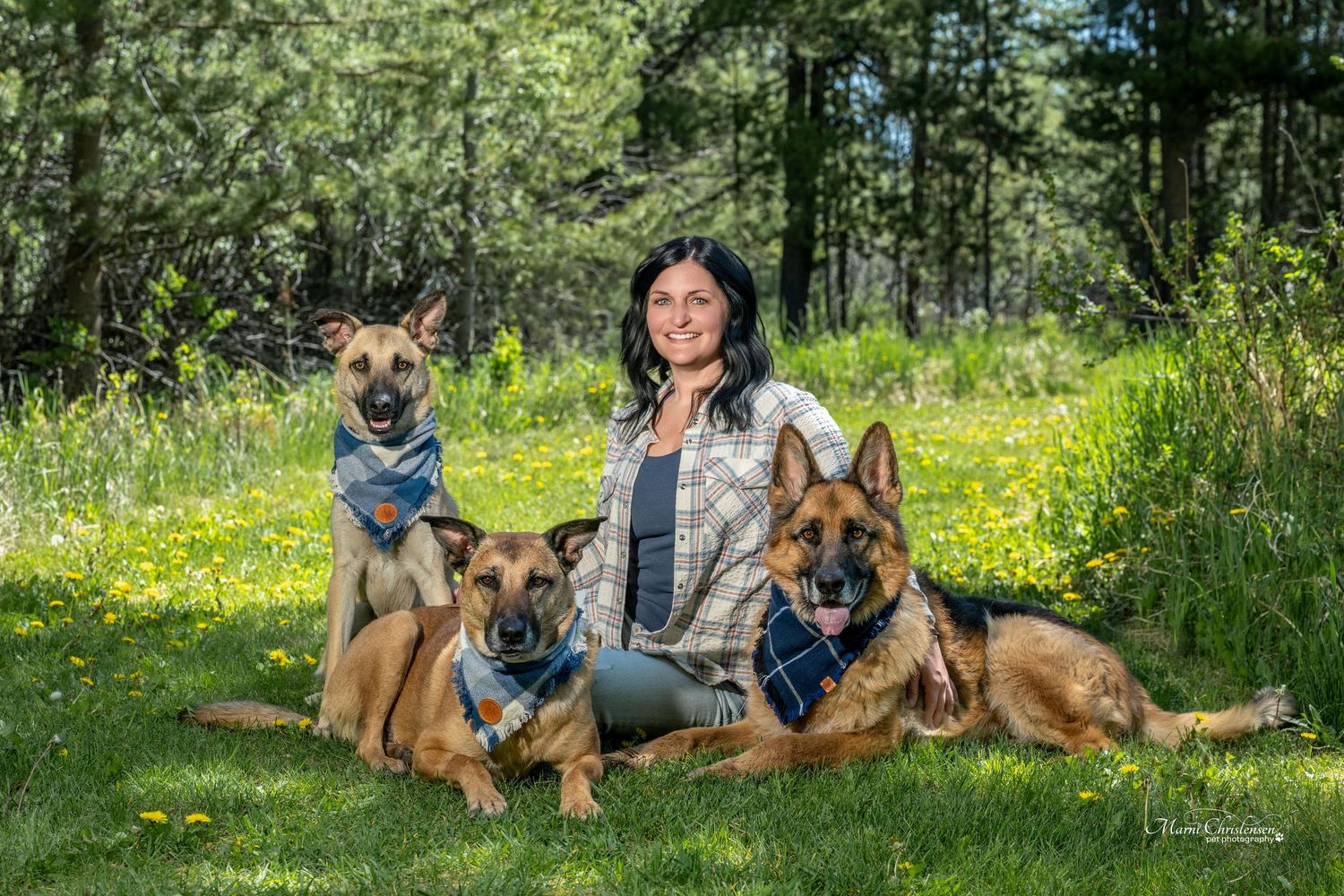 Woman sitting on the grass surrounded by her loving German Shephers.