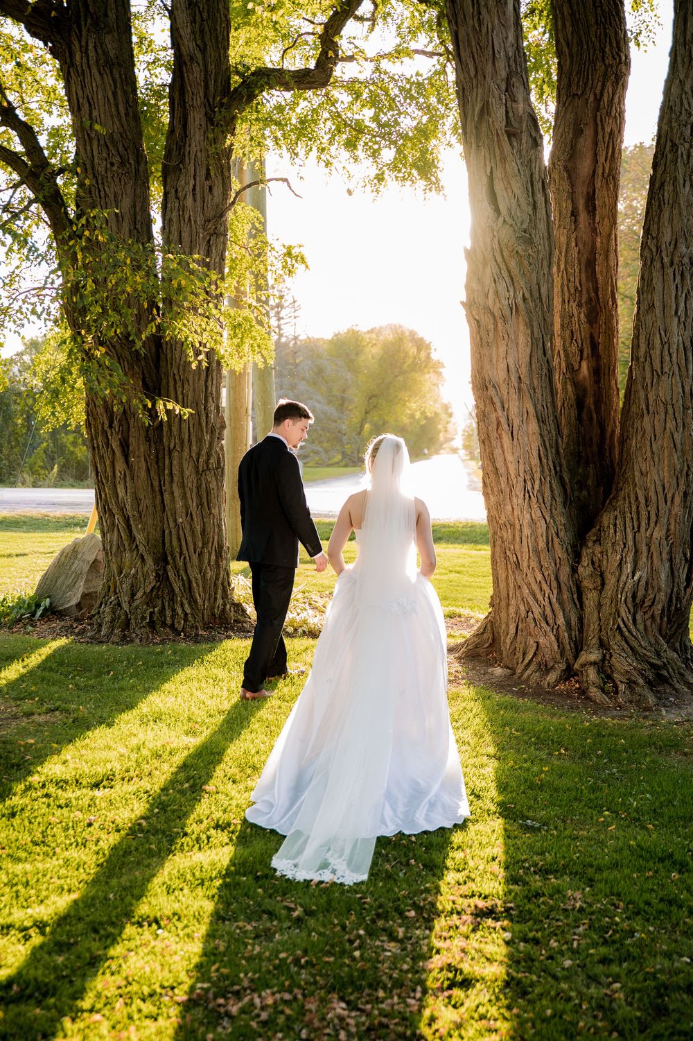 Wedding portraits taken between majestic trees with dramatic sunlight streaming through.