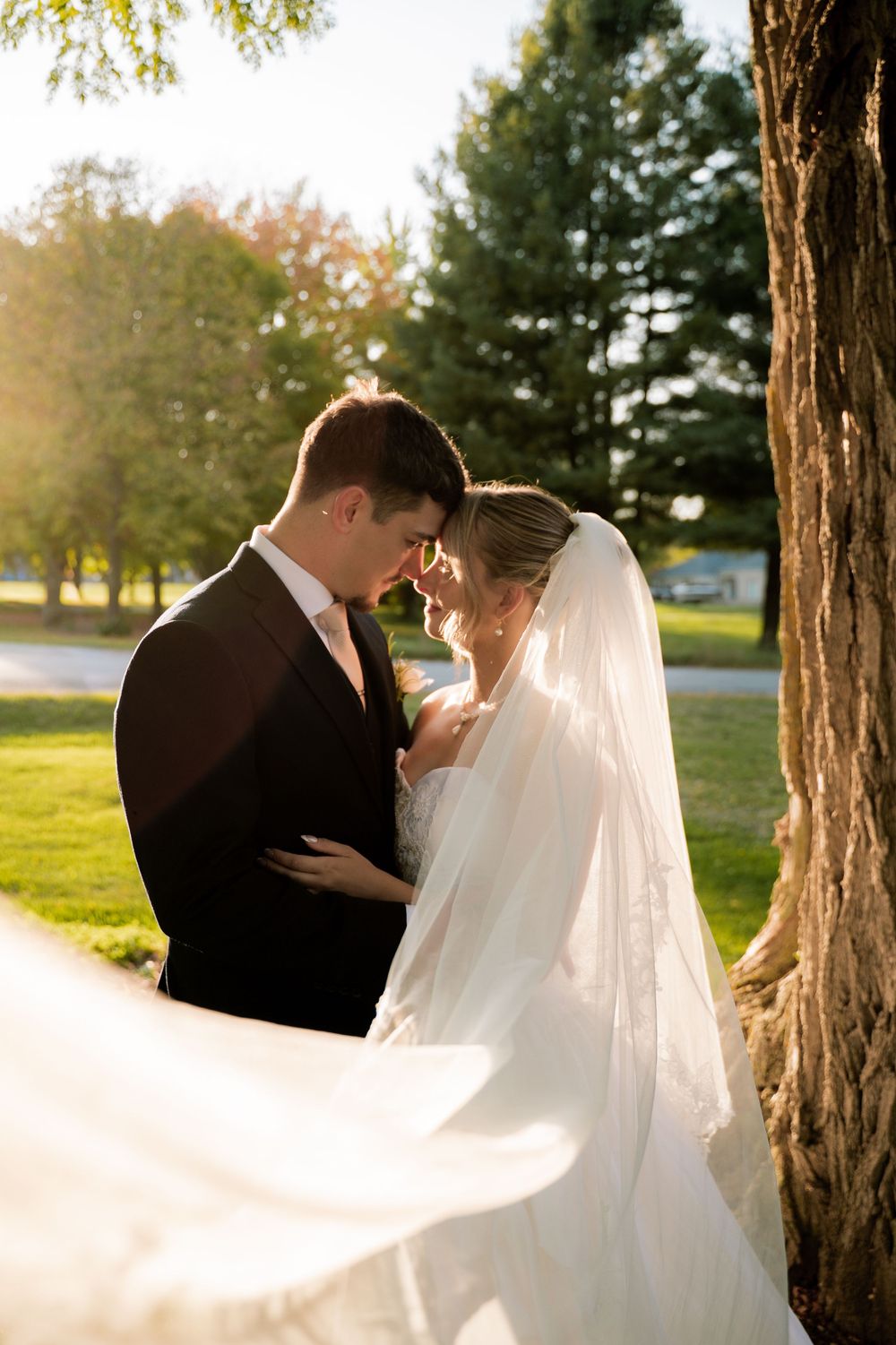 Intimate wedding portraits captured against towering tree trunks in golden evening light.