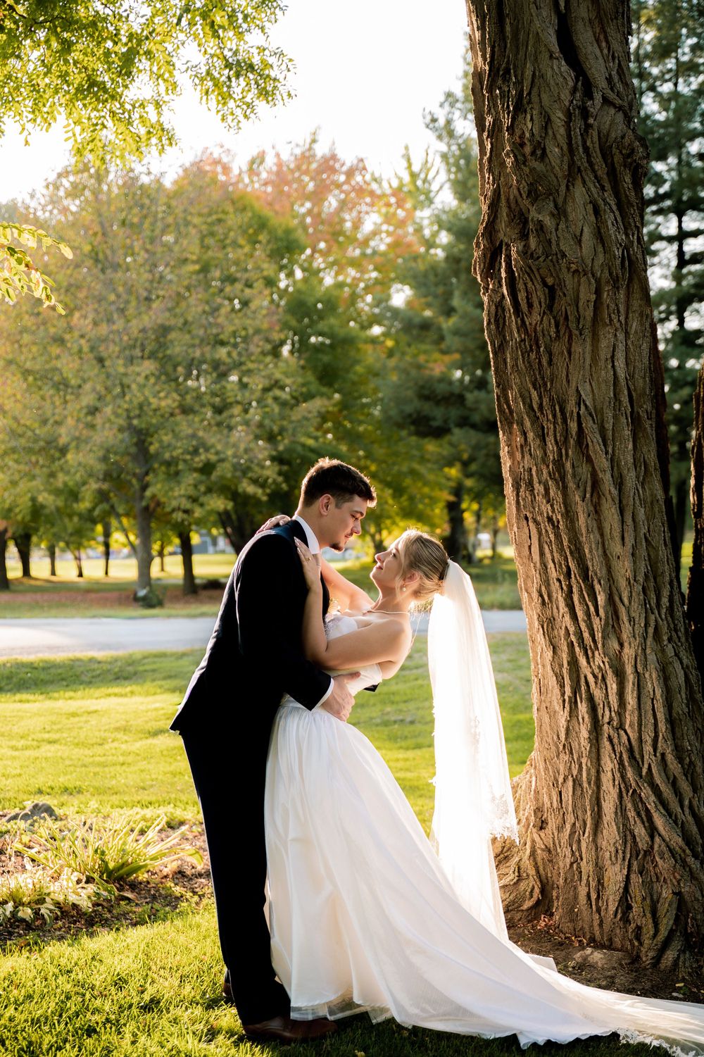 Romantic wedding photos taken between large tree trunks during golden hour.