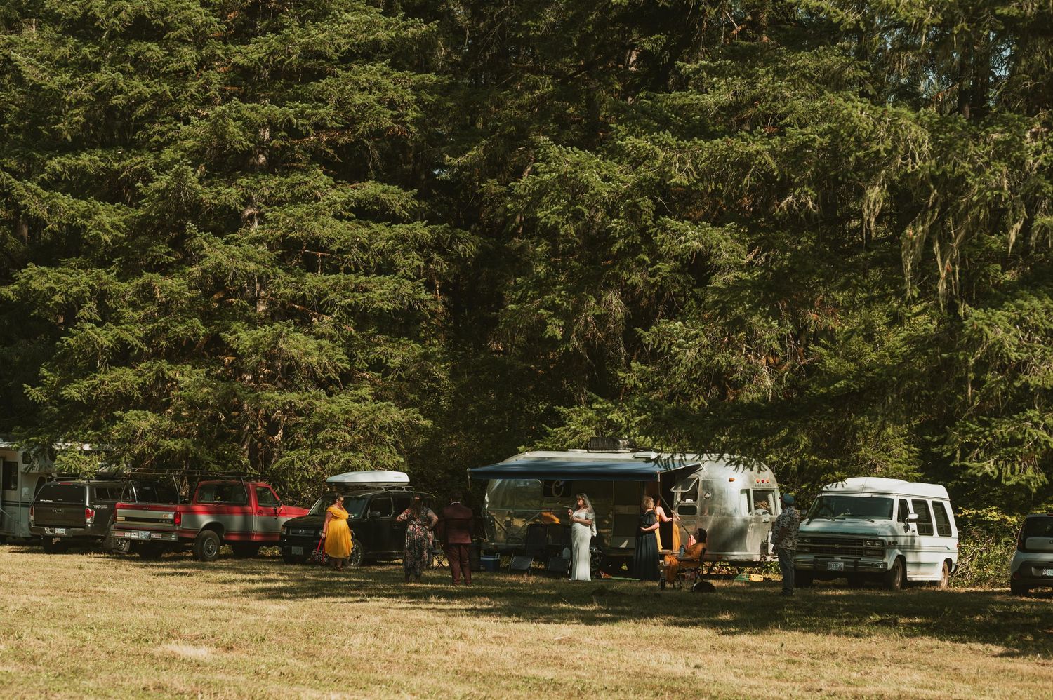 Vintage campers and vehicles parked along a tree line at a forested campground.