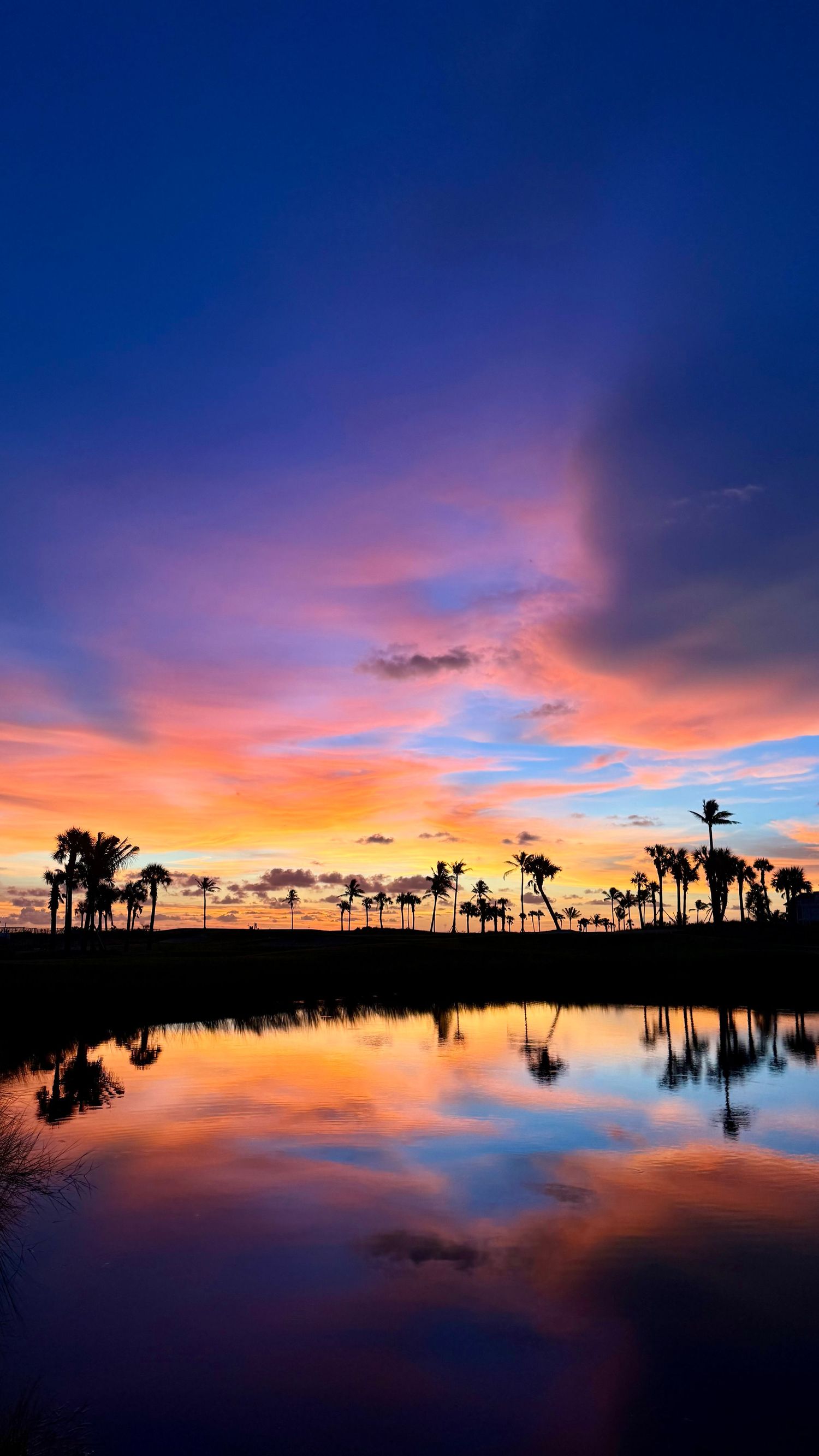 Dramatic sunset reflects in still water with palm trees creating dark silhouettes along the shoreline.