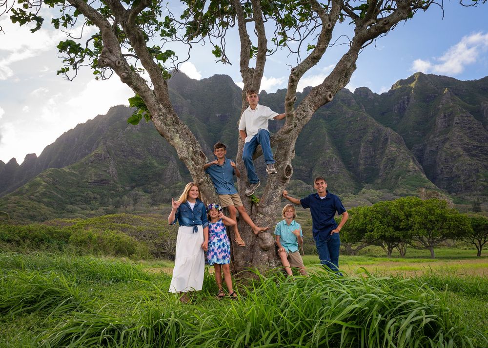 Family posing in a large tree with dramatic green mountains in Hawaii's Kualoa Ranch backdrop.