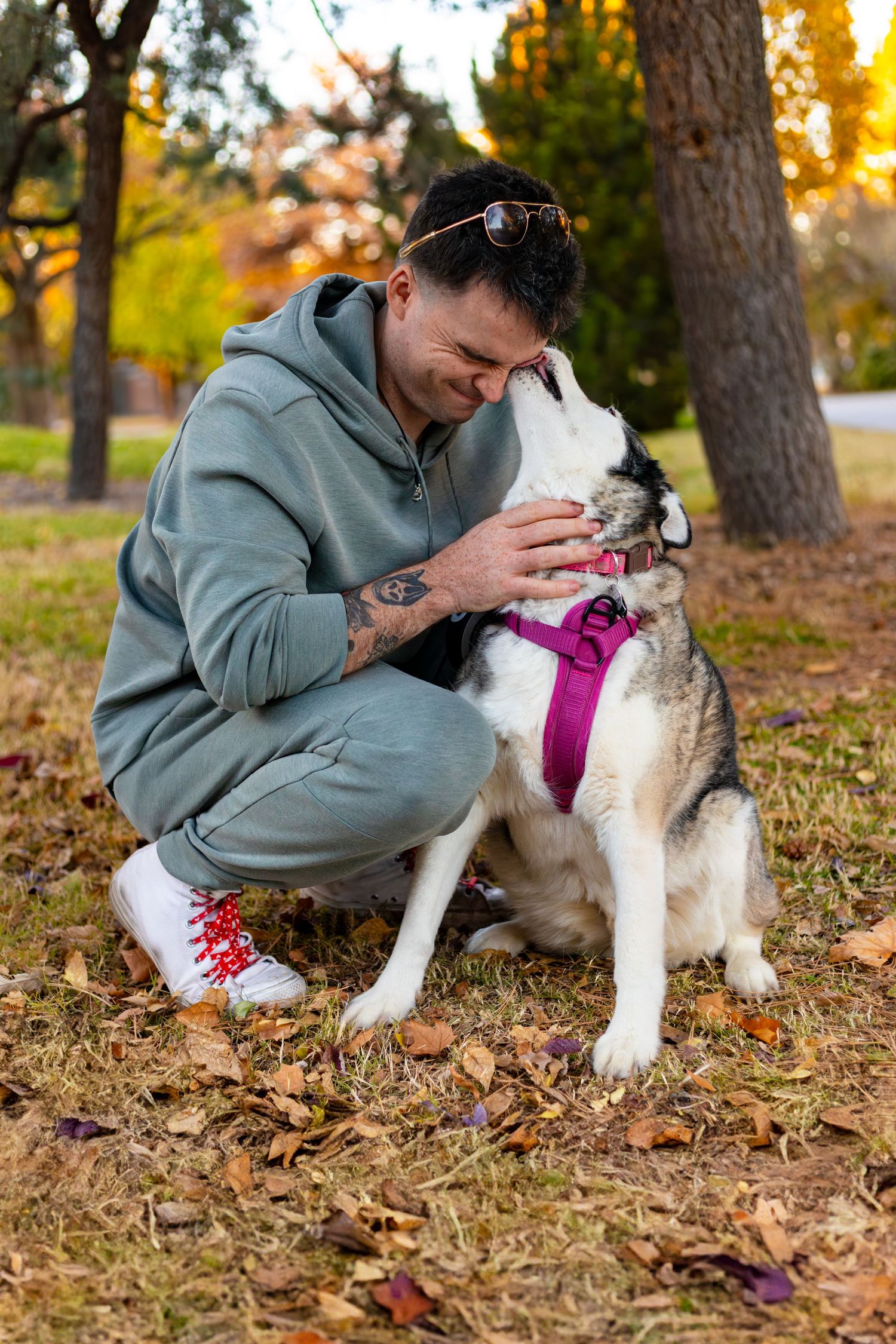 Heartwarming moment between person and husky dog playing in autumn park setting.
