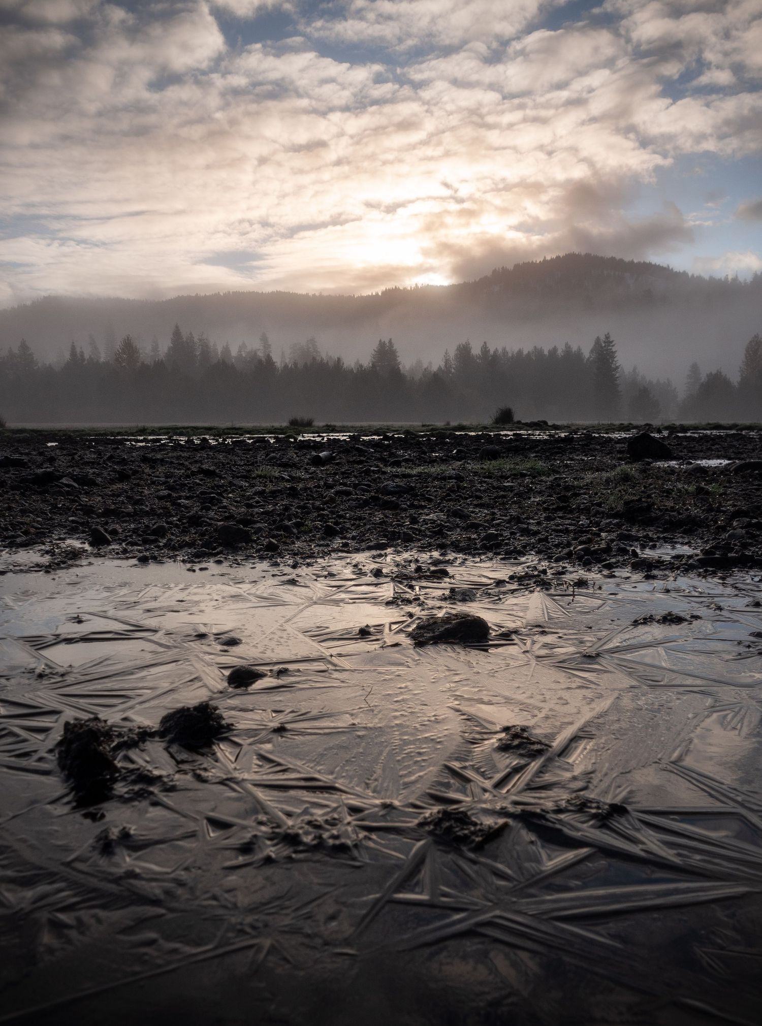Frozen wetland landscape at sunrise with mountains and evergreen forest silhouetted in background.