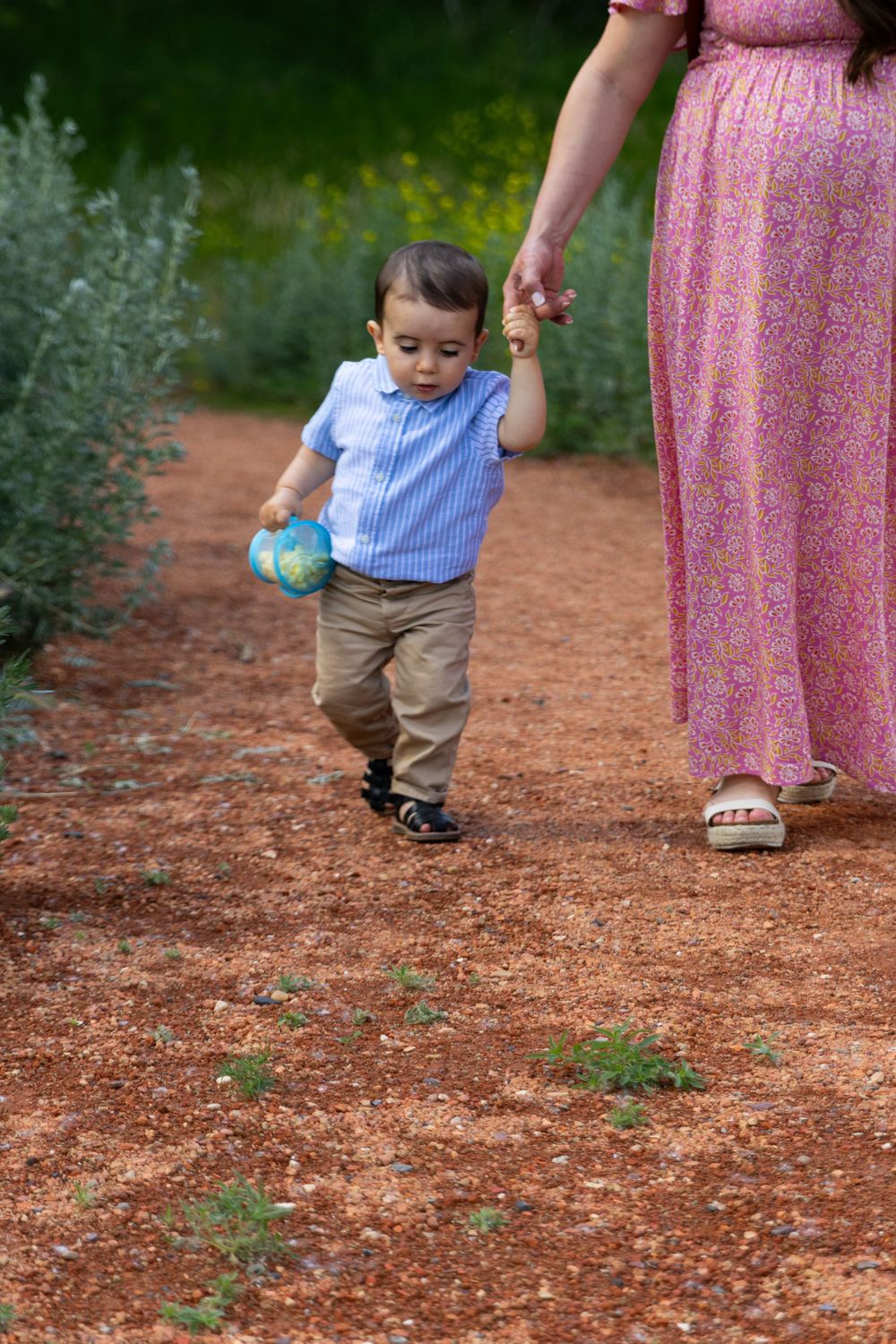 a toddler & mom