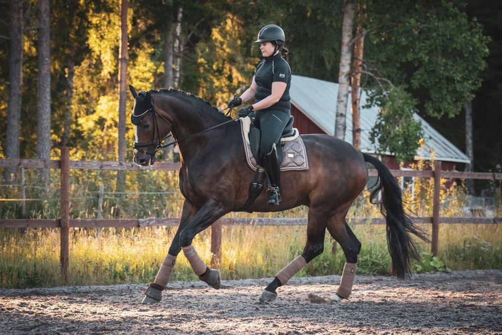 A dark horse and rider practicing dressage movements in an outdoor arena.