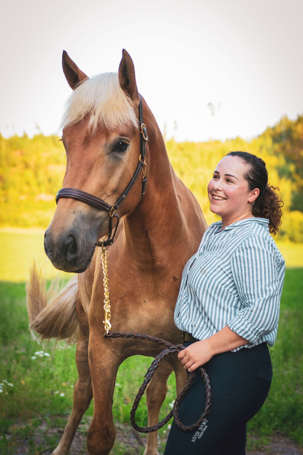 Finnhorse with blonde mane posing with companion in sunny summer meadow.