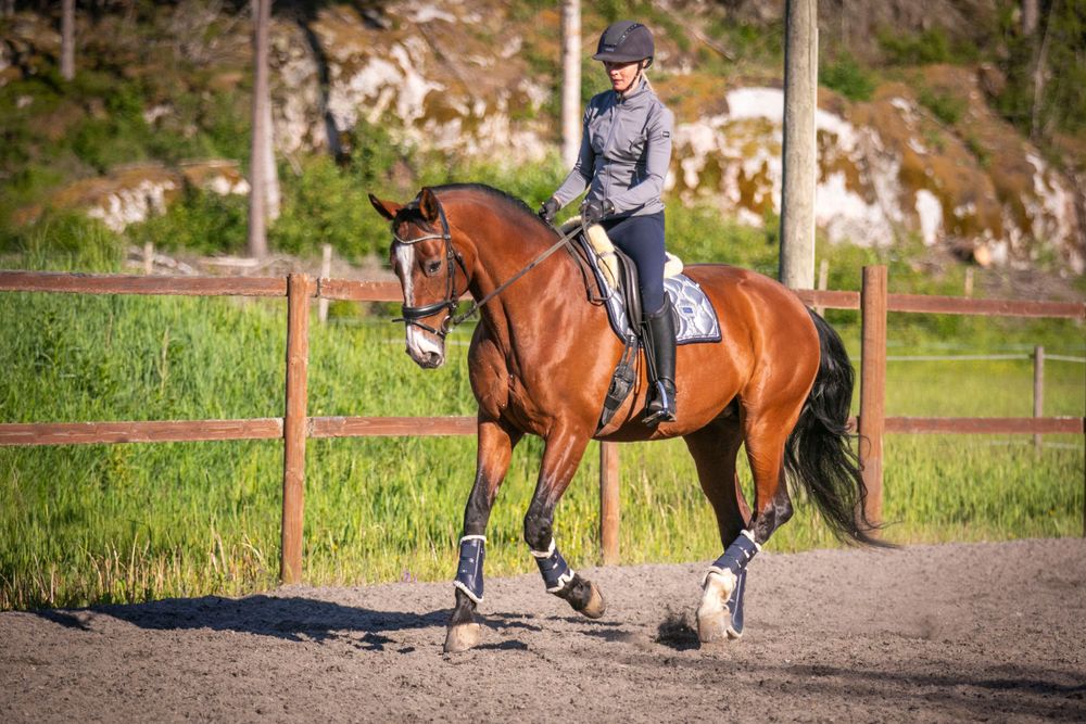 A bay horse and rider training in an outdoor arena with leg wraps and dressage equipment.
