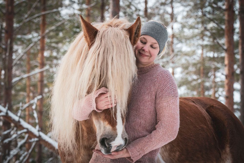 A Finnhorse with flowing mane standing in a snowy forest setting.